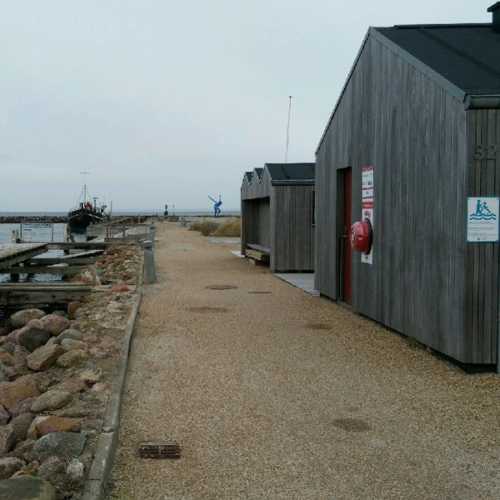 rotaid-skargard Rotaid Solid Plus (utomhusskåp, IP54 med larm), grönt