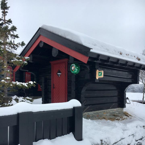 rotaid-vinterstuga Rotaid Solid Plus HEAT (utomhusskåp, IP54 med värme och larm), gult